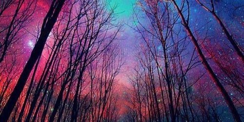 paulaavega1's profile banner image