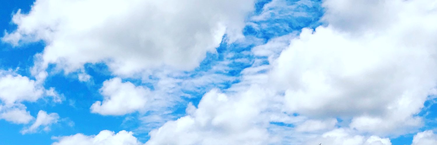 s_silano's profile banner image