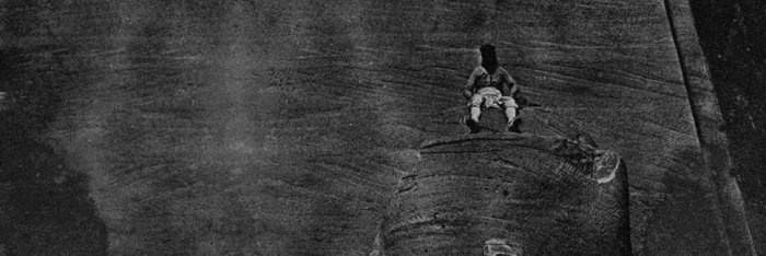 WAVIESTGUY's profile banner image