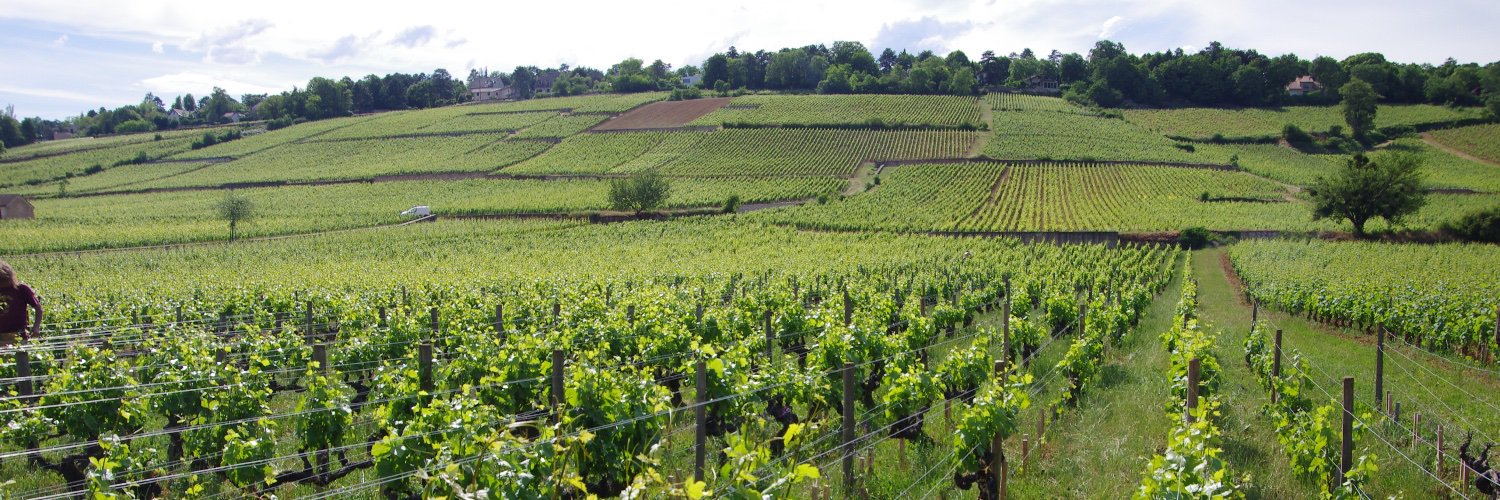 Roche de Bellene banner