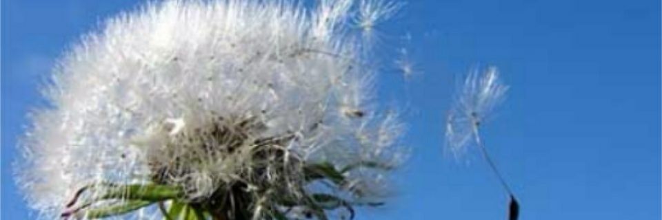 Riaria_Fatma's profile banner image
