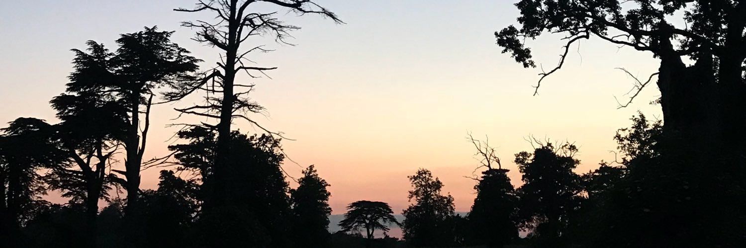 jallcott97's profile banner image