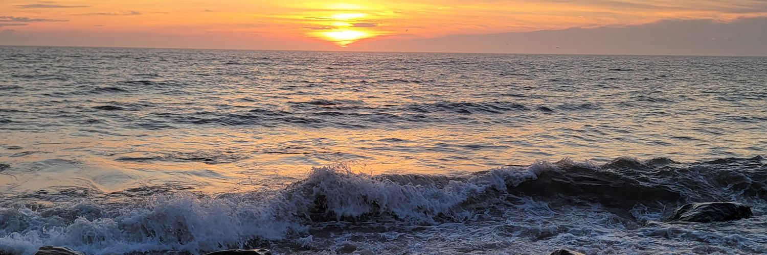 Dori Damboise-Andersen, CA. banner