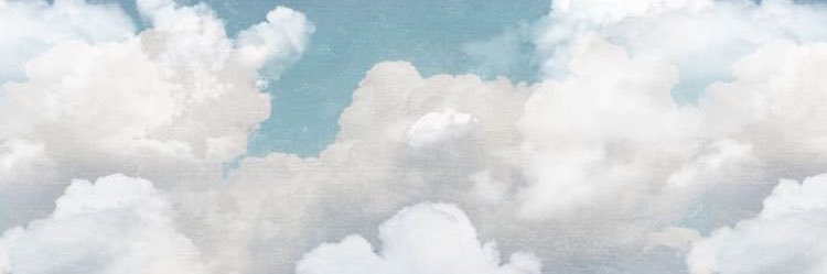 marianacarf's profile banner image