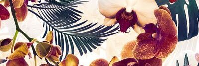 aamiraa__'s profile banner image