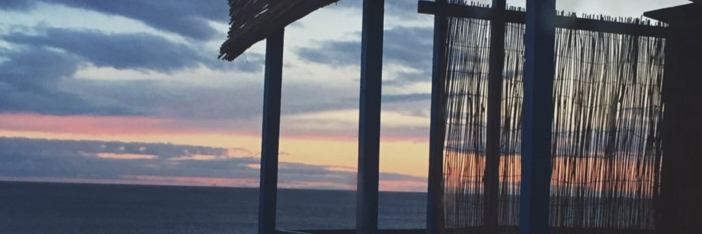 mileyspanda's profile banner image