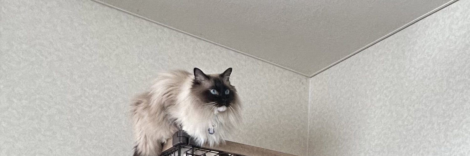 FallTos's profile banner image