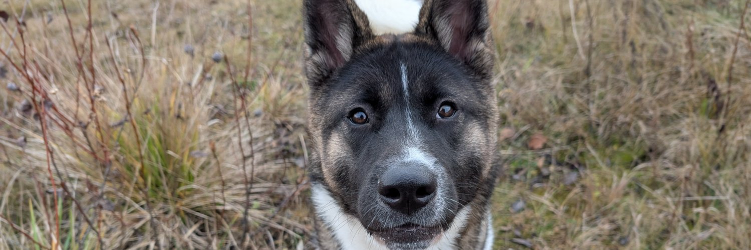 Guelph Humane Society banner