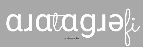 aratography's profile banner image