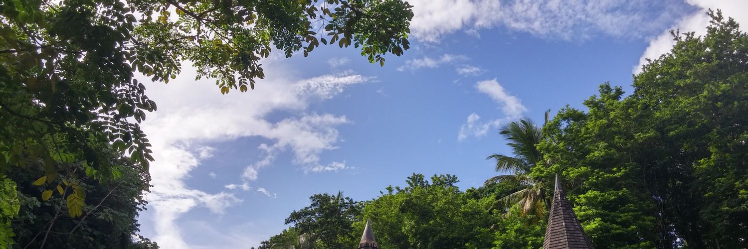 sarsoora1994's profile banner image