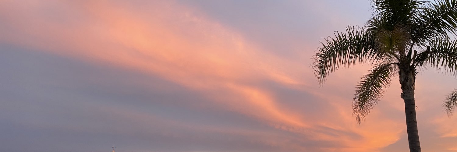 LauraTrimi's profile banner image