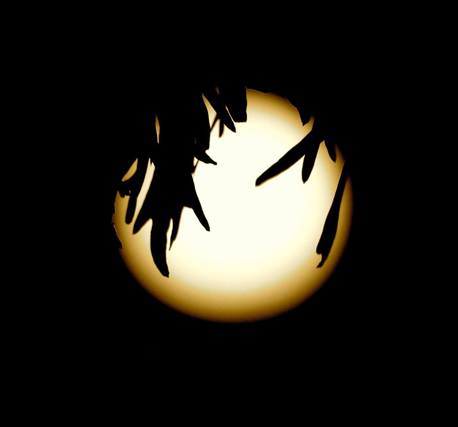 annieb222's profile banner image
