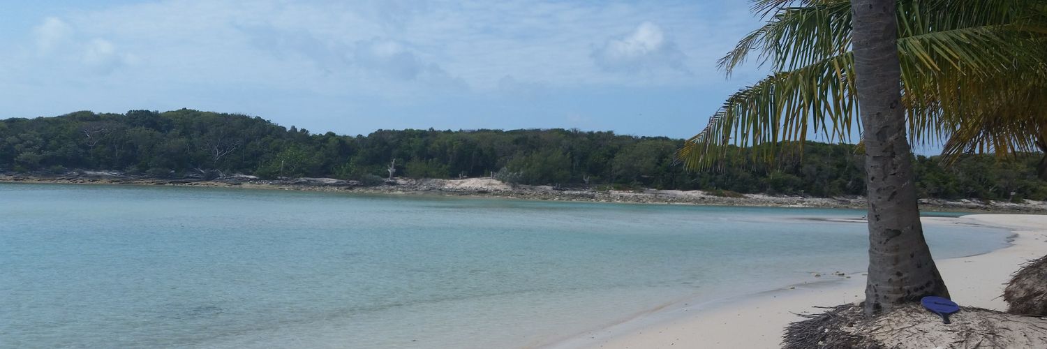 morgan_weyant's profile banner image
