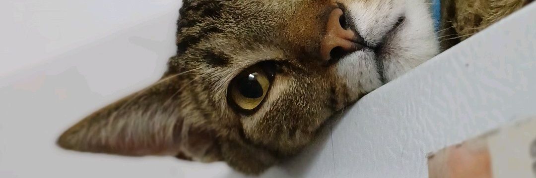 Agusdnb's profile banner image
