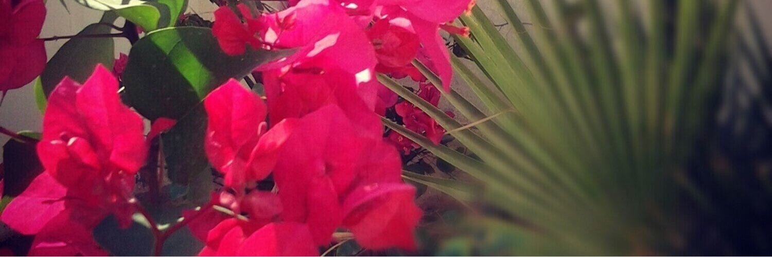 ALRAHA_M's profile banner image