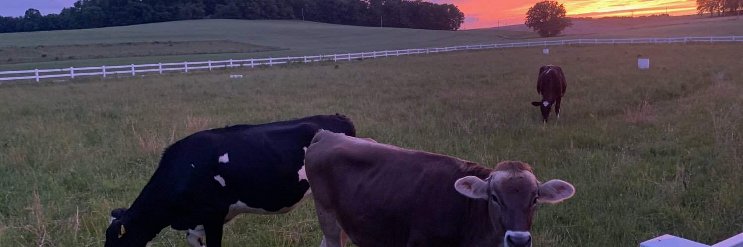 amy_yeiser4's profile banner image
