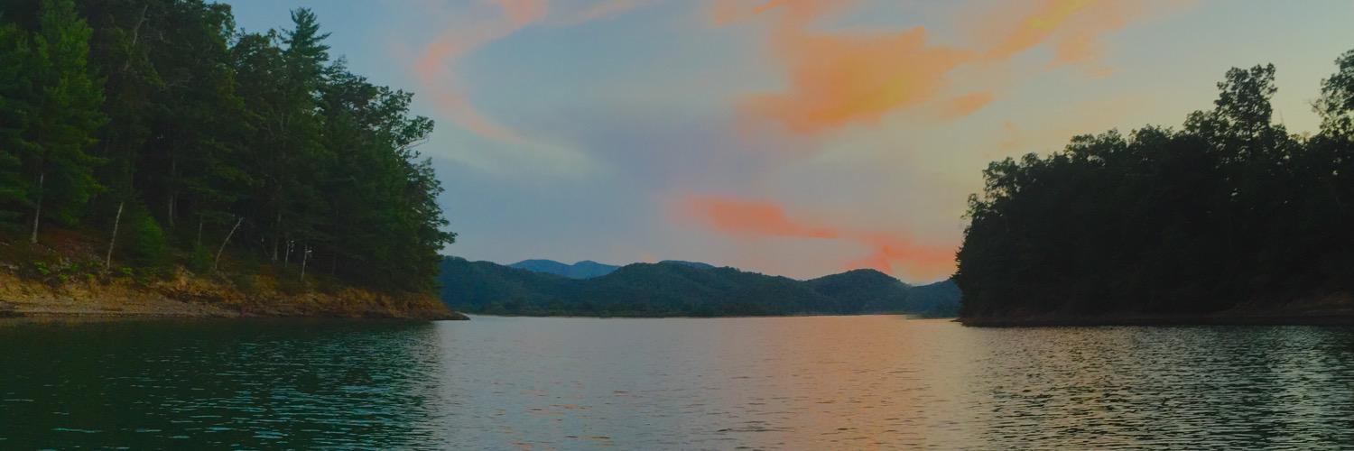 williswattts's profile banner image