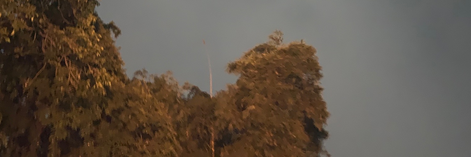 Suredays11's profile banner image