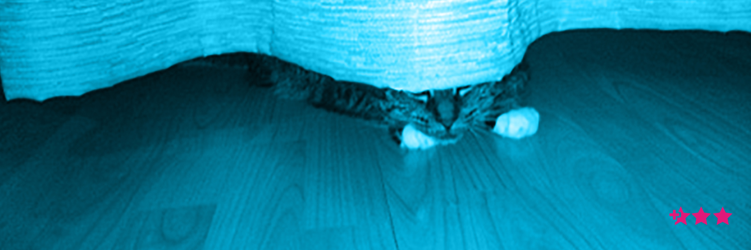 DC (Daniëlle) @dcfactory@mastodon.nl banner