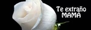 Pattyfugma's profile banner image