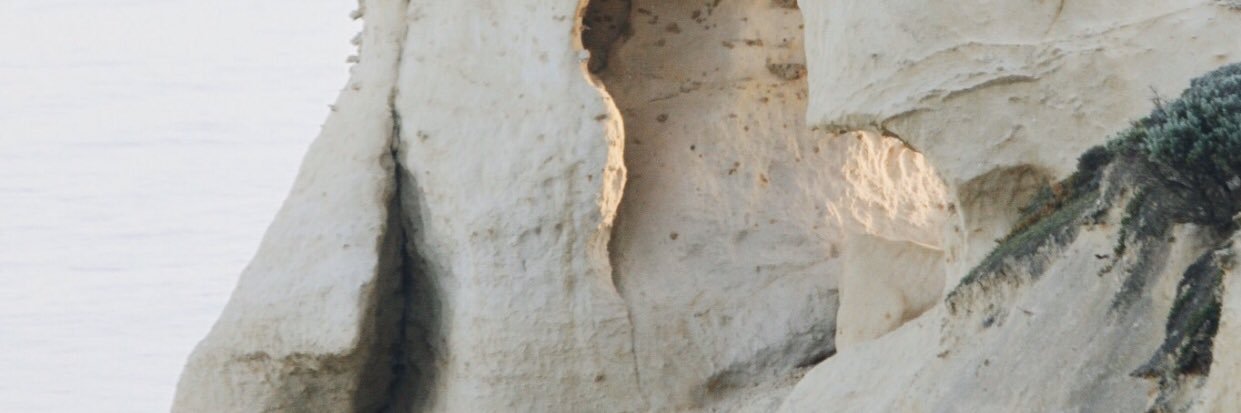 alyssalambo's profile banner image