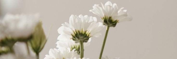 imazkrh's profile banner image