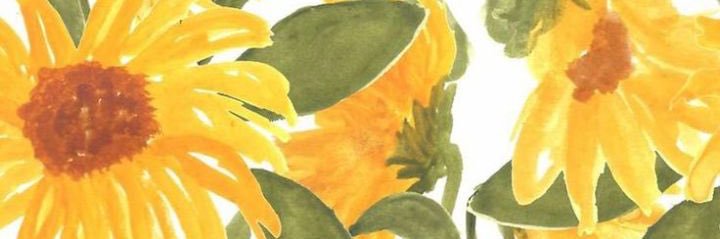 beth_mullett's profile banner image