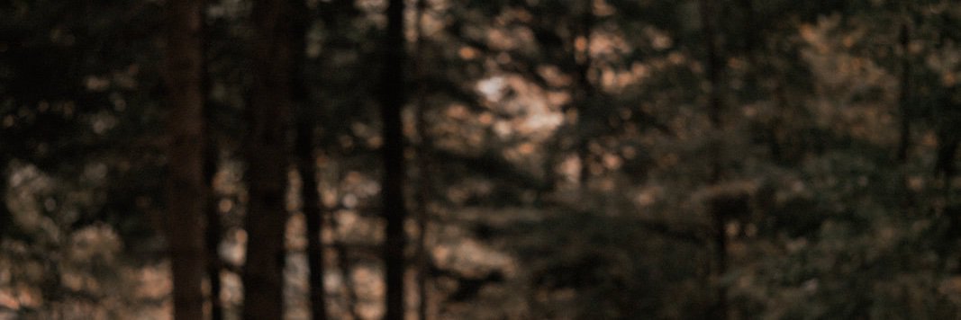 JRMcConnery's profile banner image