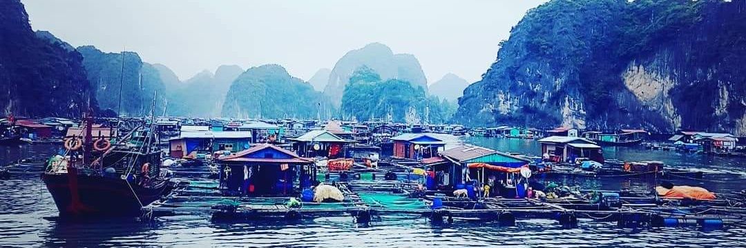 Sean McDaniel banner