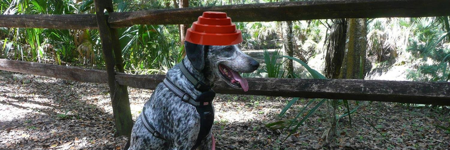 Travis Seeber banner