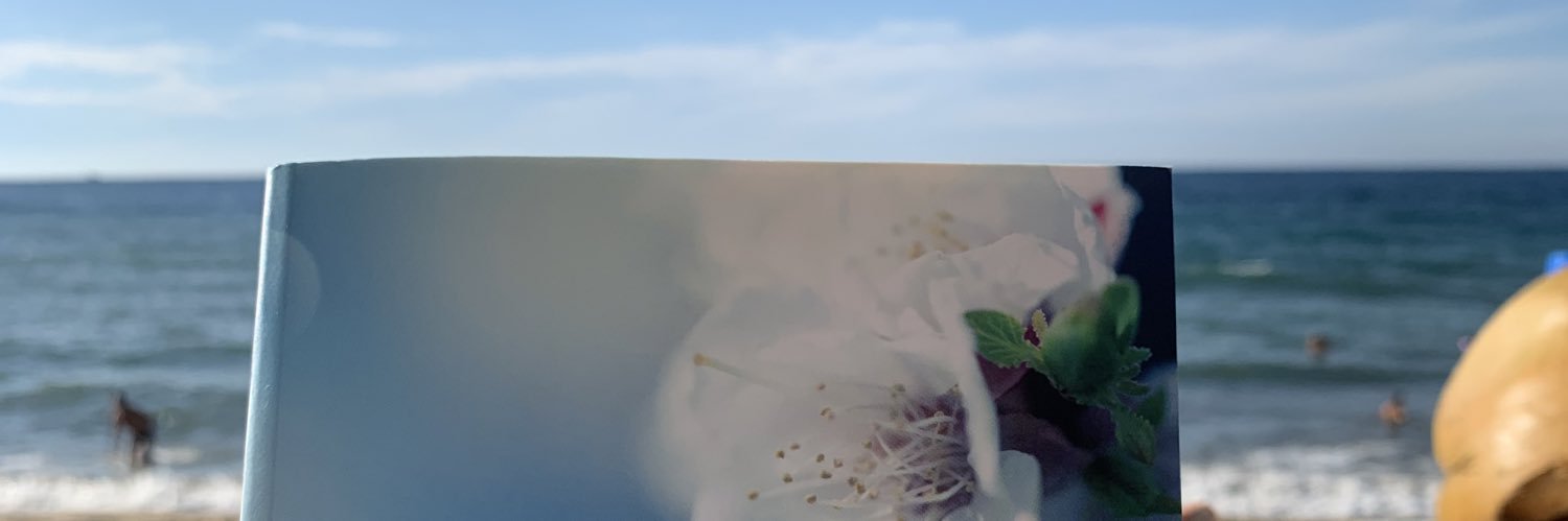 tanimherrera's profile banner image