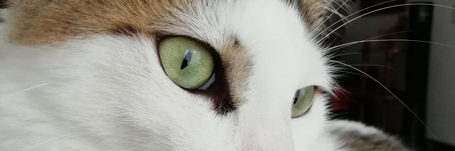 cmarioxxi's profile banner image