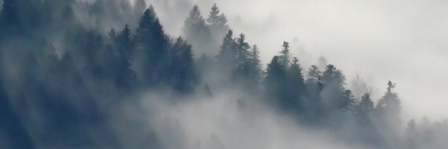 epicstack's profile banner image