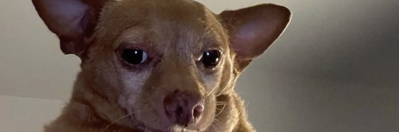 tayobermeyer's profile banner image