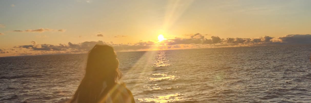below_palmtree's profile banner image