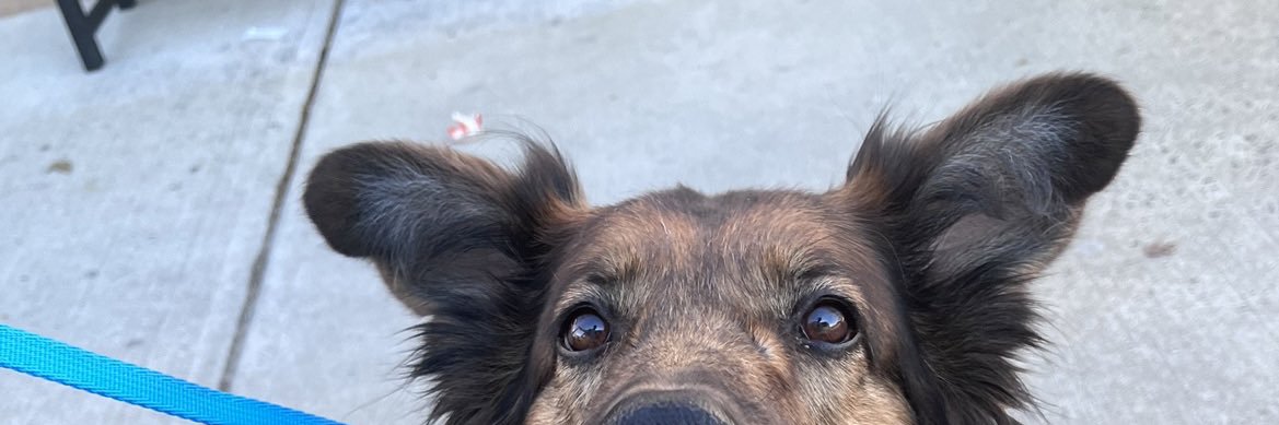 MarisaLacy's profile banner image