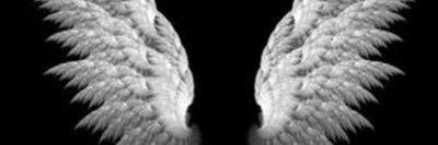AmalHamid1's profile banner image