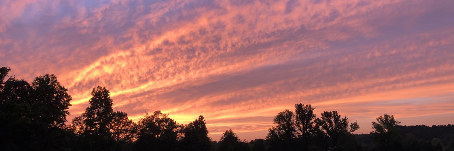 LandonTMeeks97's profile banner image