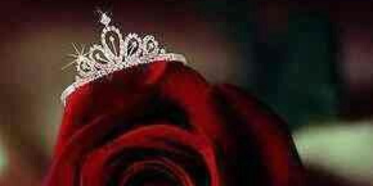 Hind AlDawood 🇸🇦 banner