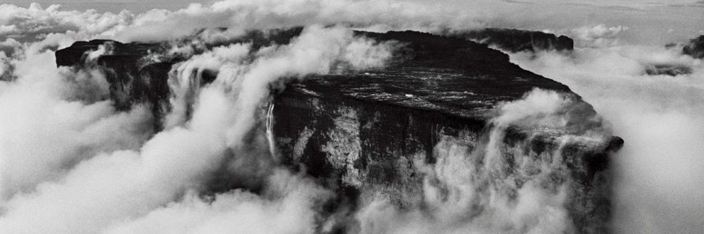 ohmanndill's profile banner image