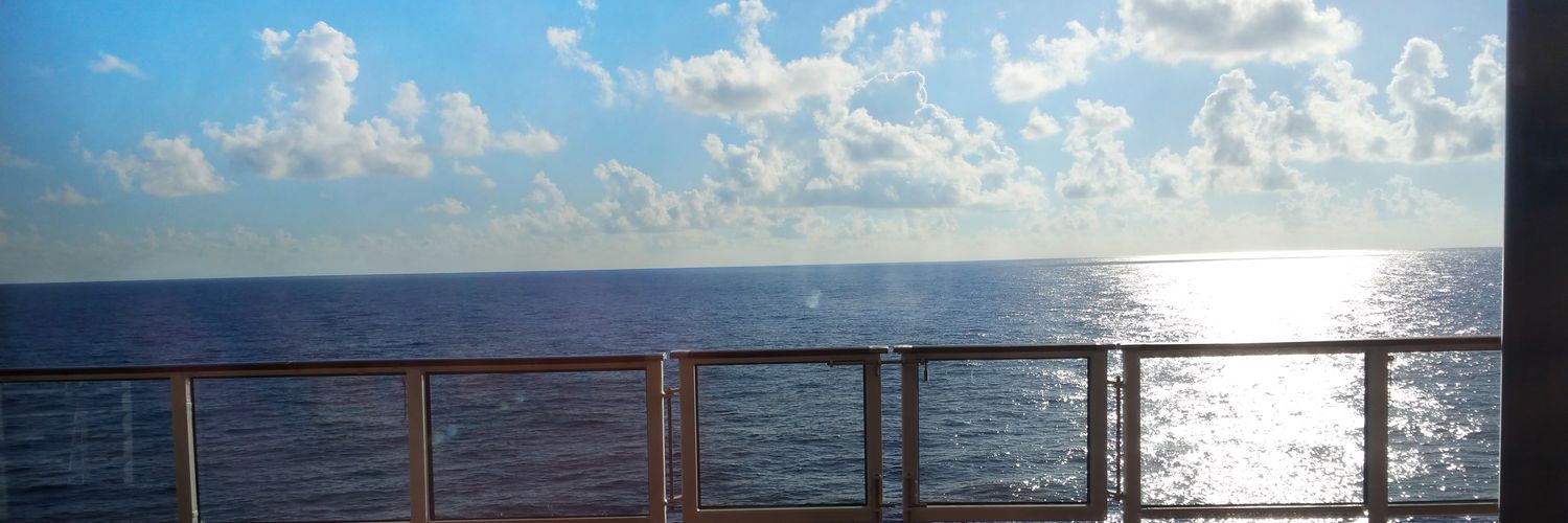 asholliday89's profile banner image