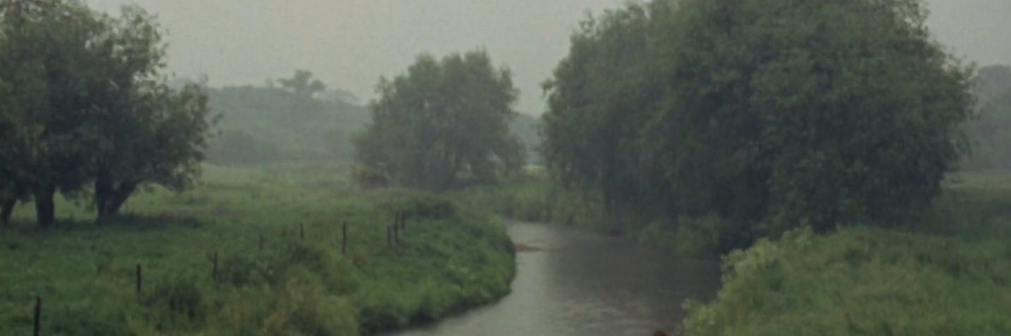 Charlie Nash banner