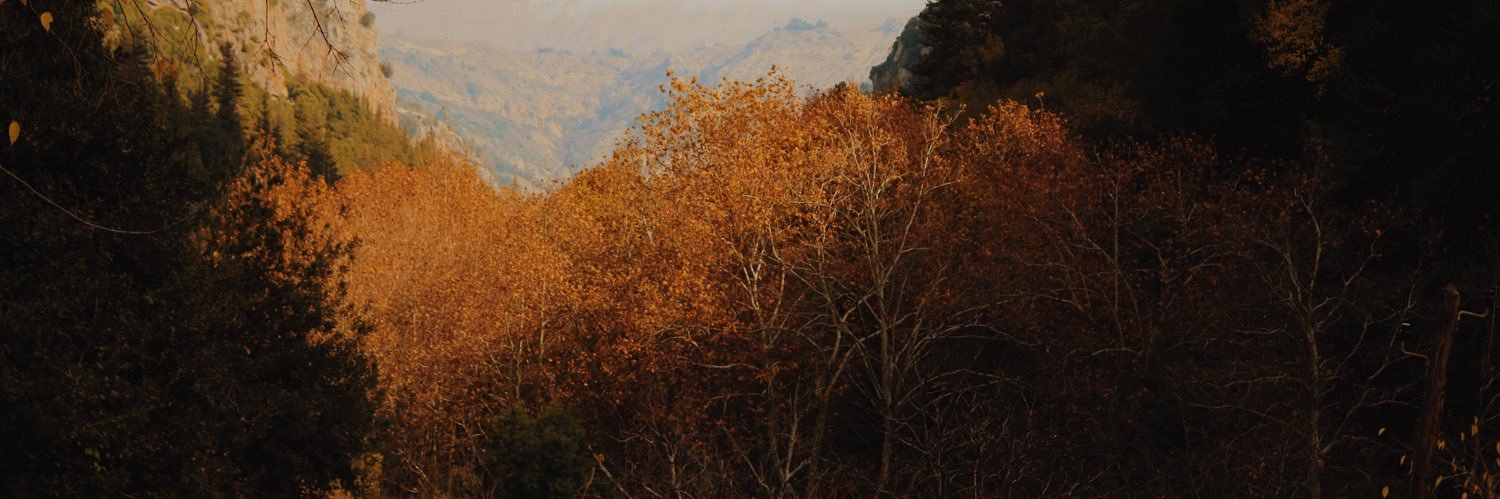 Brandon Rothrock banner