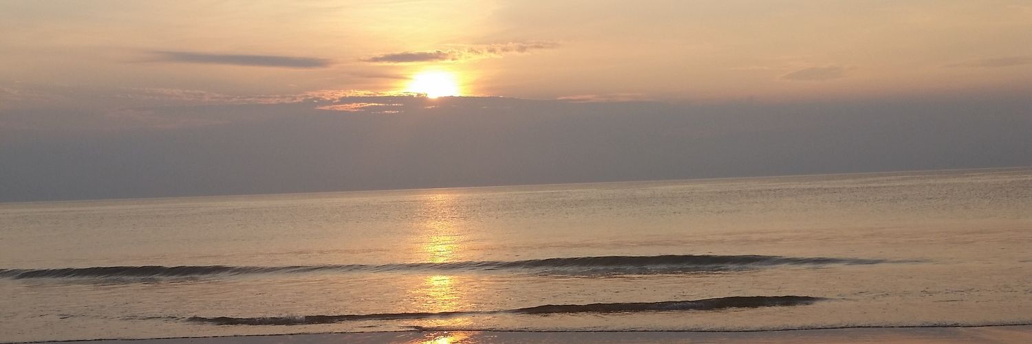 SarahJessicaEye's profile banner image