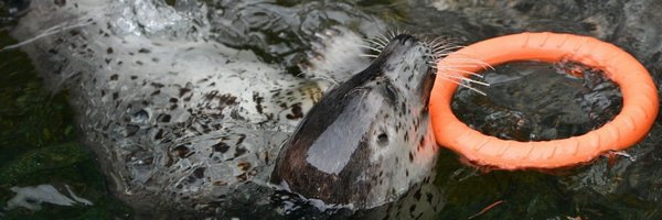 hiro123456789 Profile Banner