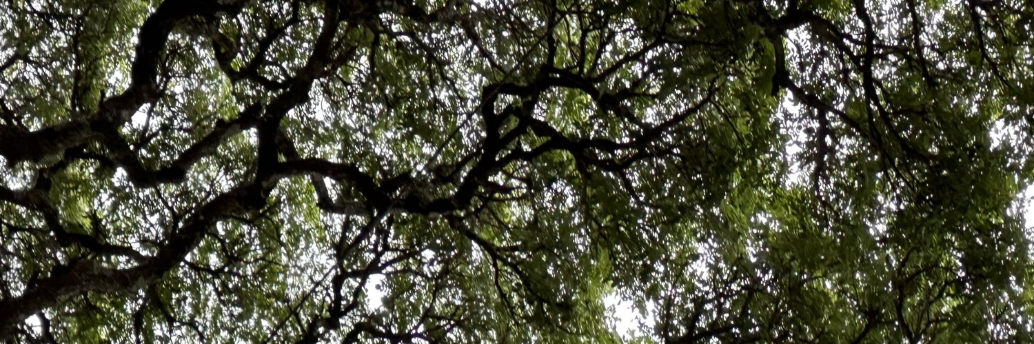 velezjcamilo's profile banner image