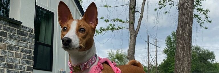 richelleee10's profile banner image