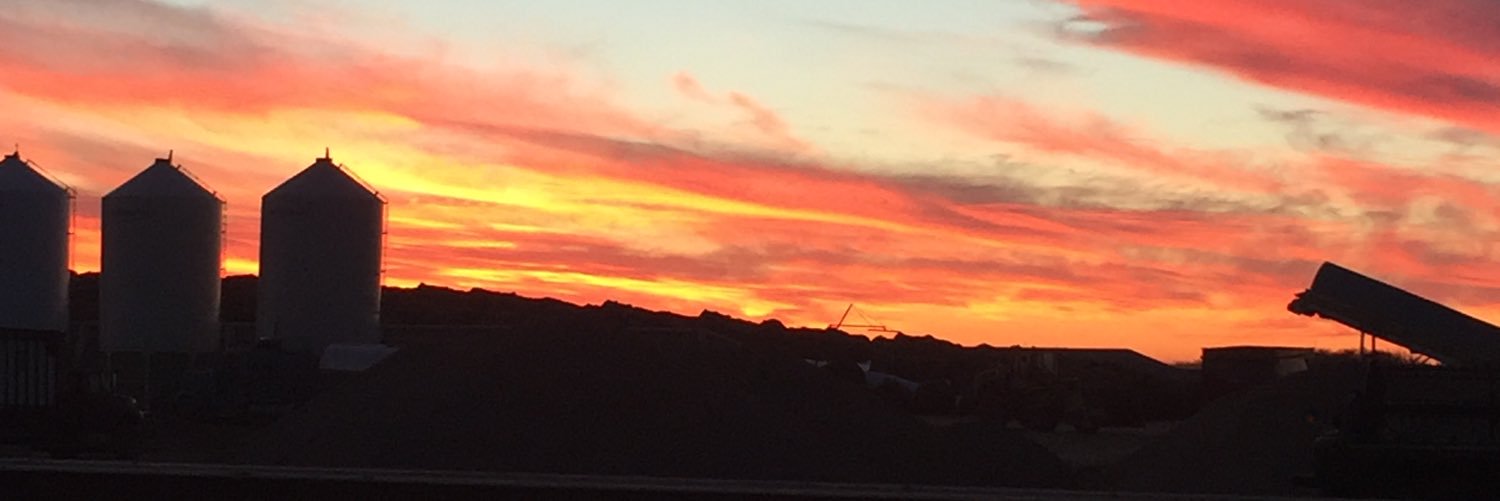 lynncattle's profile banner image
