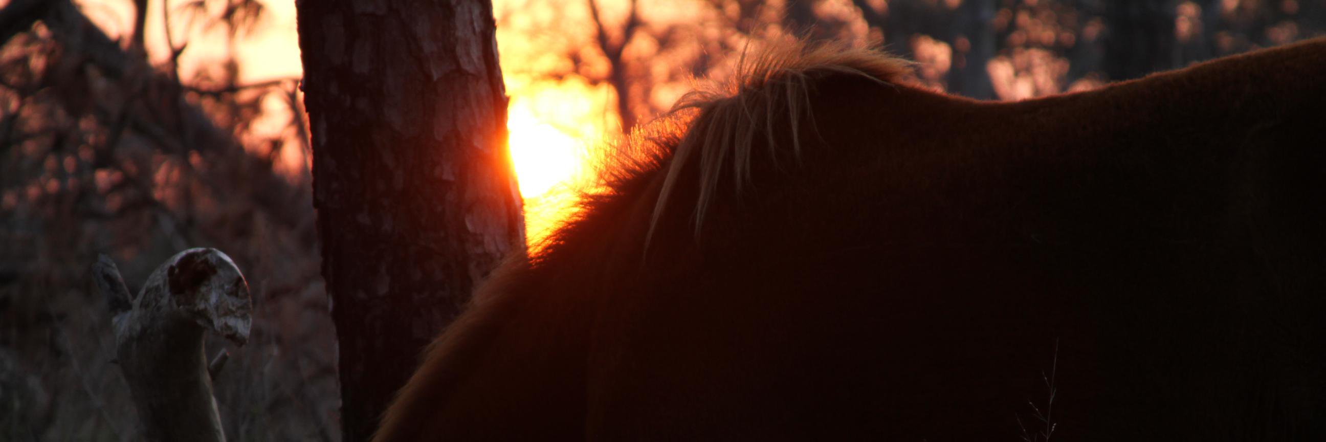 Locketsmusic's profile banner image