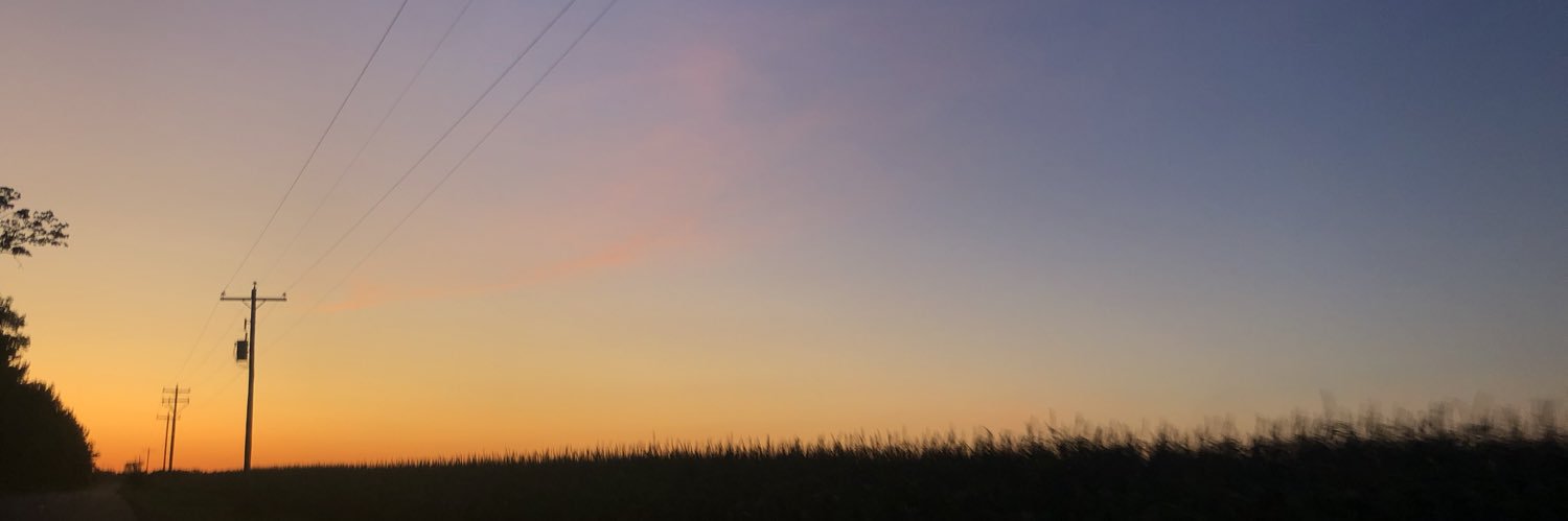 annacheney4's profile banner image